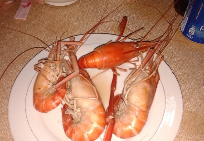 Mekong delta tour13 (2)